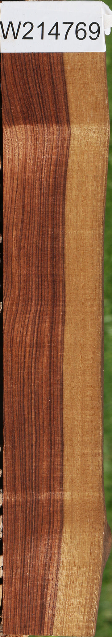 Kingwood Live Edge Lumber