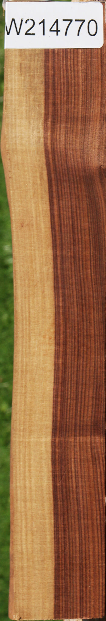 Kingwood Live Edge Lumber