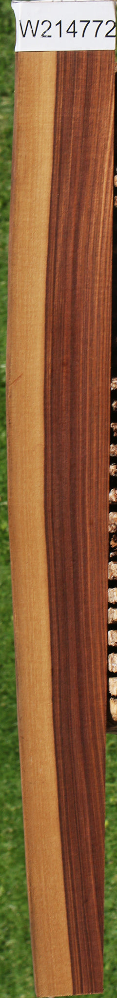 Kingwood Live Edge Lumber