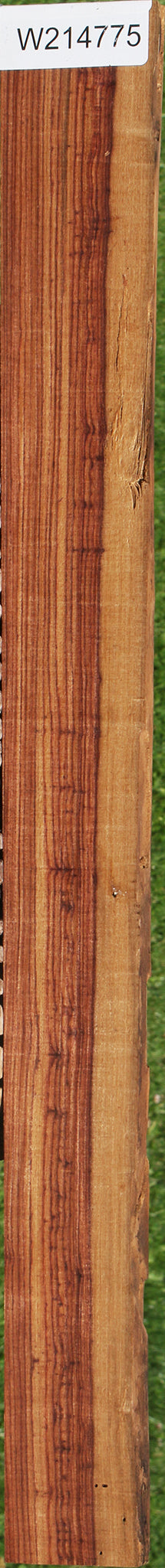 Figured Rustic Kingwood Live Edge Lumber