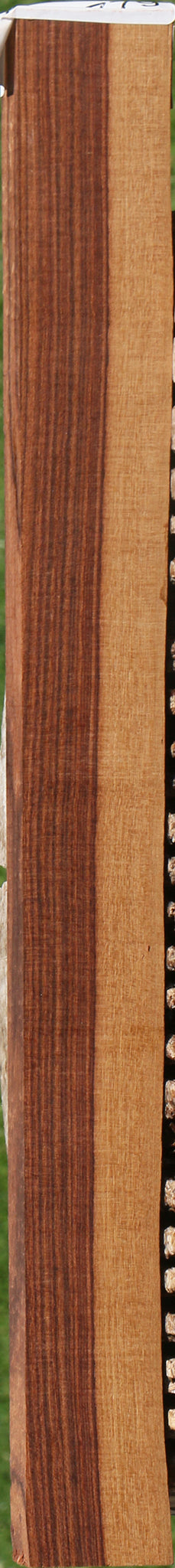Kingwood Live Edge Lumber