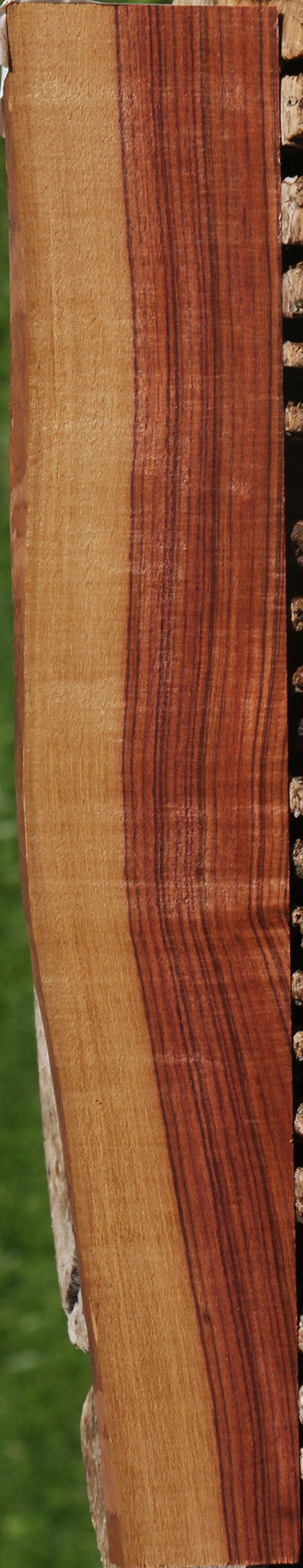 Extra Fancy Kingwood Live Edge Lumber