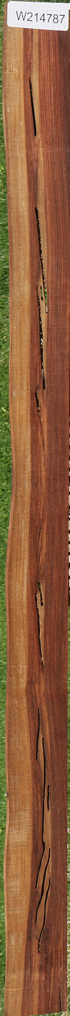 Rustic Kingwood Live Edge Micro Lumber