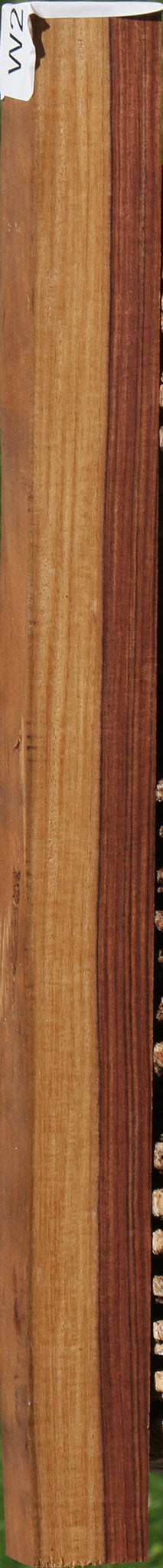 Kingwood Live Edge Lumber