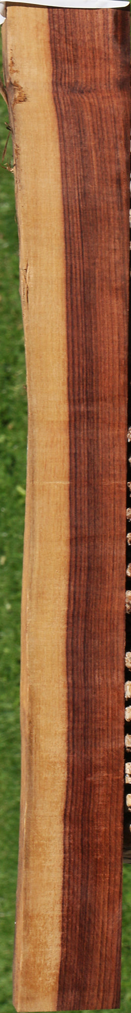 Quartersawn Kingwood Live Edge Lumber