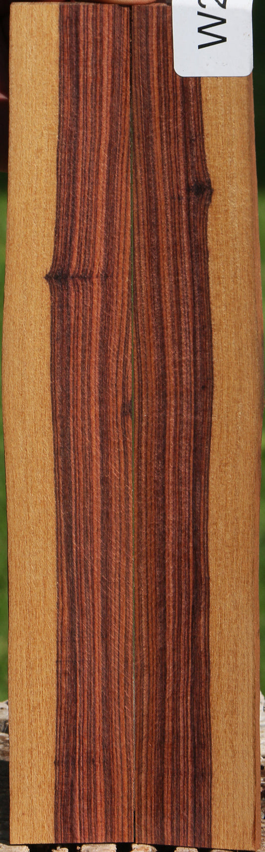 Kingwood Live Edge Bookmatched Knife Scales