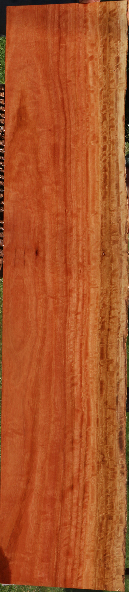 Extra Fancy Red Ironbark Live Edge Lumber