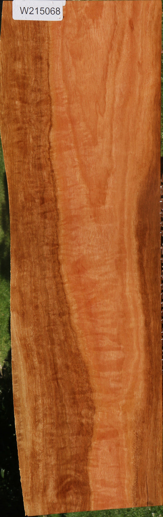 Extra Fancy Red Ironbark Live Edge Lumber