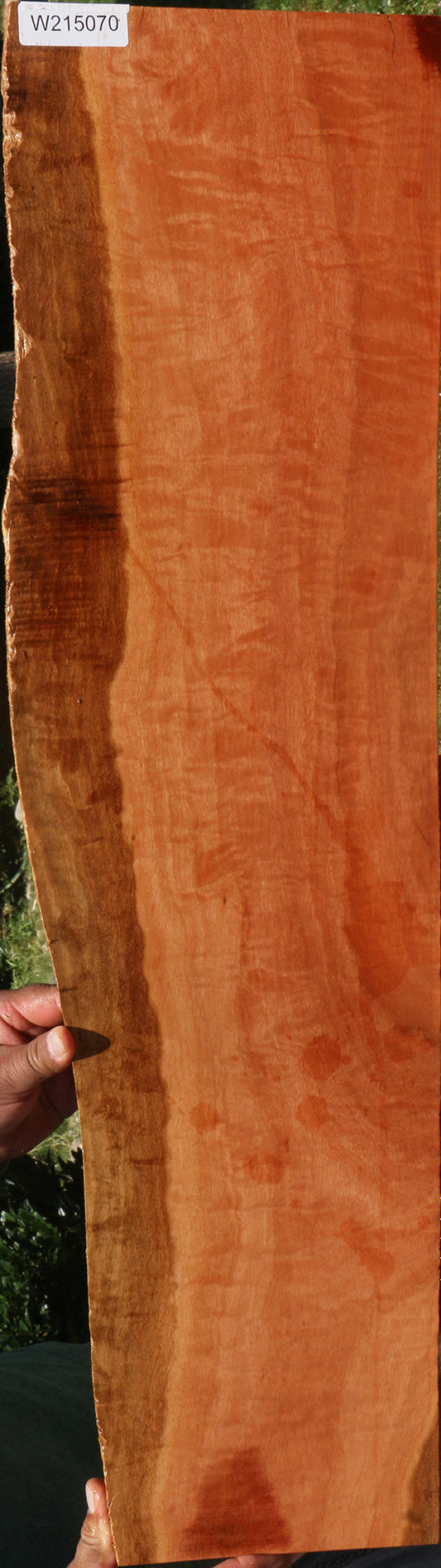 Extra Fancy Red Ironbark Live Edge Lumber