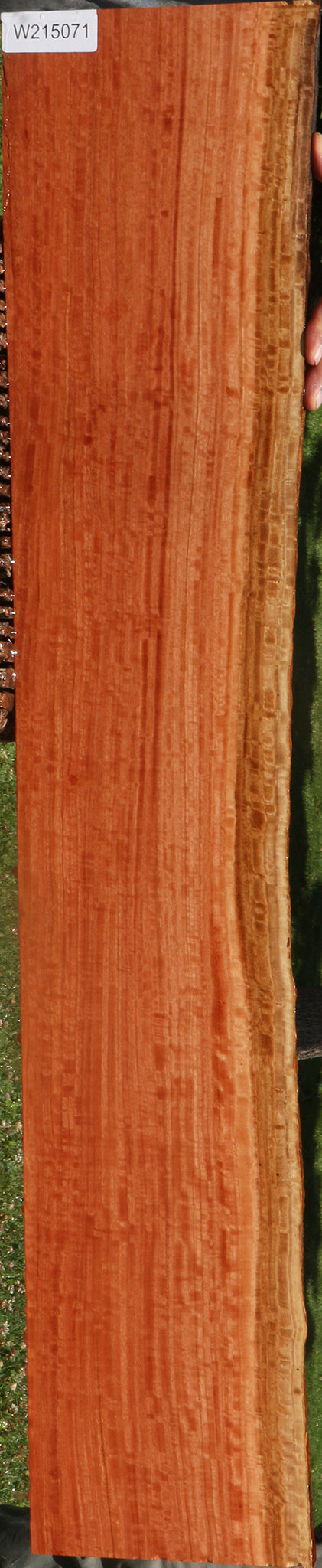 Extra Fancy Red Ironbark Live Edge Lumber