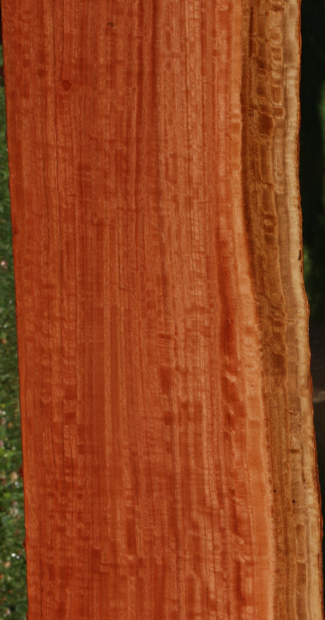 Extra Fancy Red Ironbark Live Edge Lumber