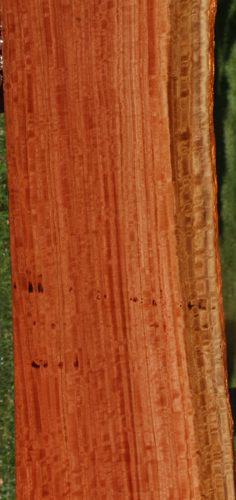 Extra Fancy Red Ironbark Live Edge Lumber