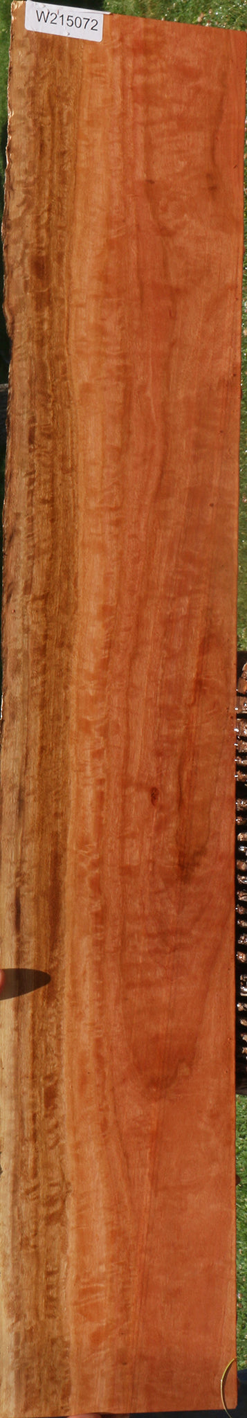 Extra Fancy Red Ironbark Live Edge Lumber