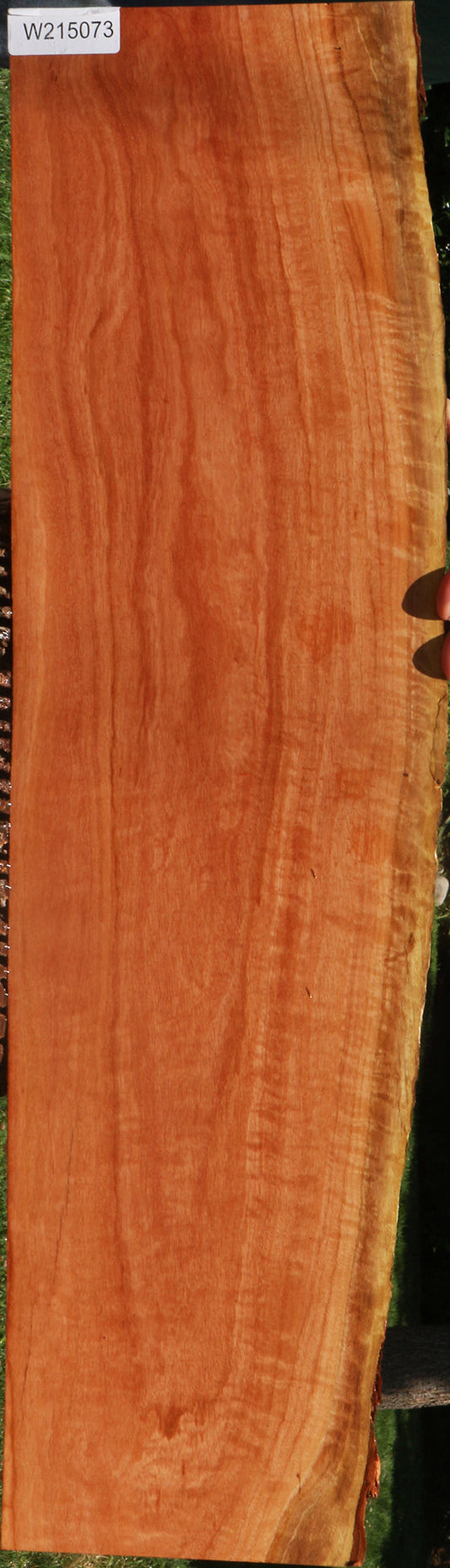 Extra Fancy Red Ironbark Live Edge Lumber