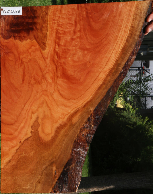 Extra Fancy Red Ironbark Live Edge Lumber