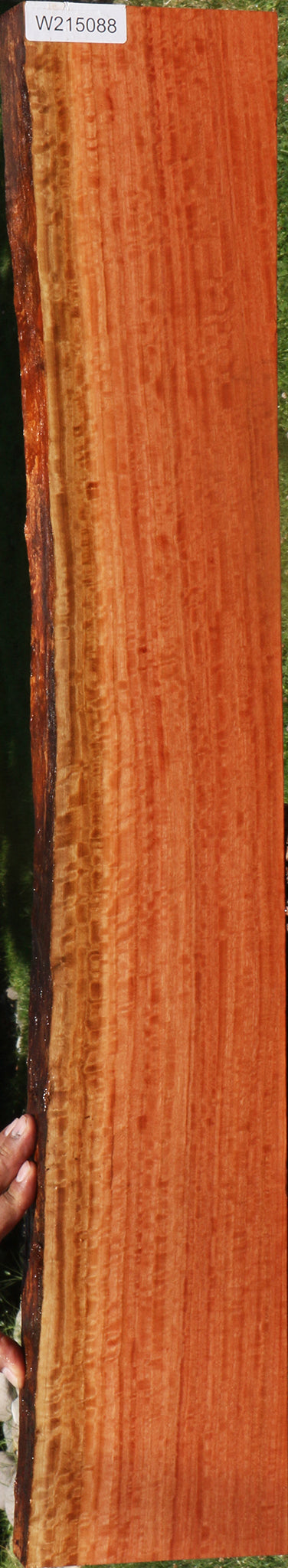 Extra Fancy Quartersawn Red Ironbark Live Edge Lumber