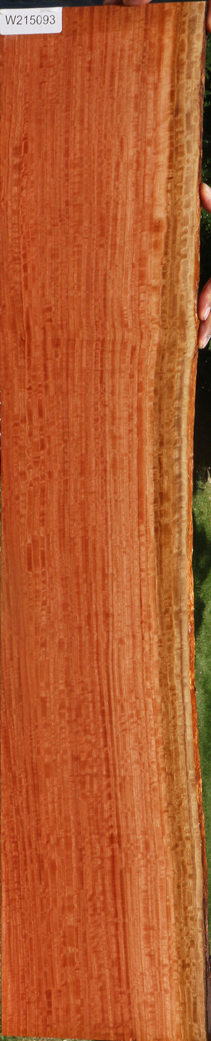 Extra Fancy Red Ironbark Live Edge Lumber