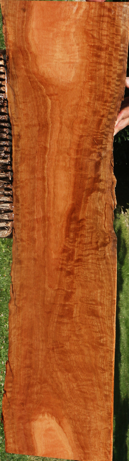 Extra Fancy Red Ironbark Live Edge Lumber