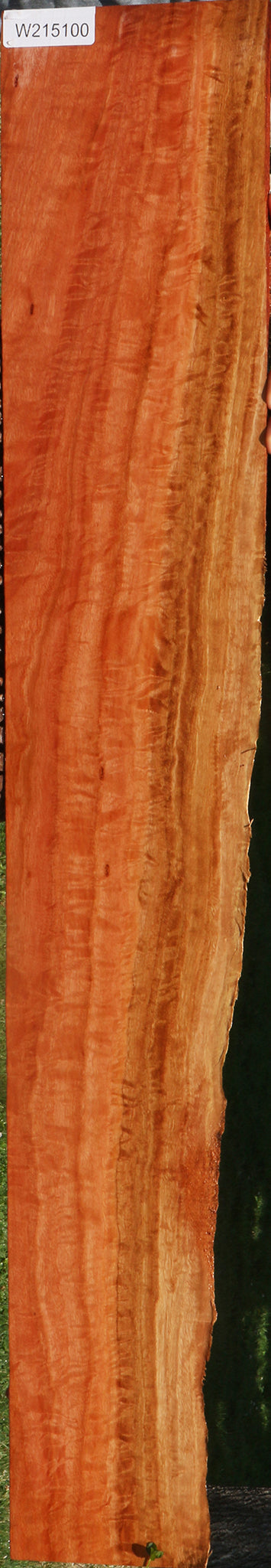 Extra Fancy Red Ironbark Live Edge Lumber