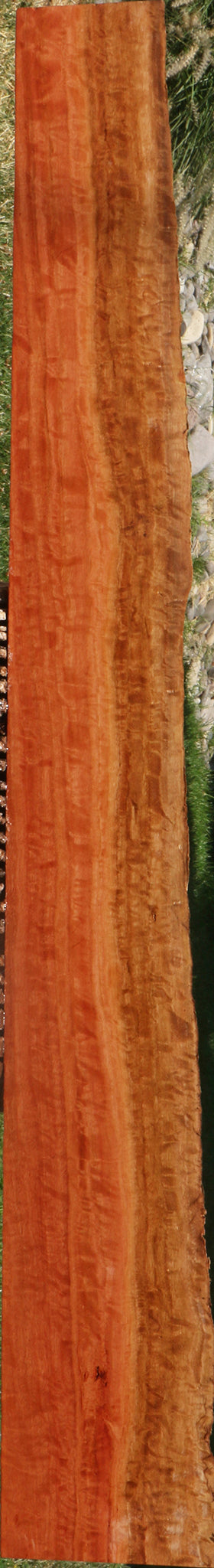 Extra Fancy Red Ironbark Live Edge Lumber