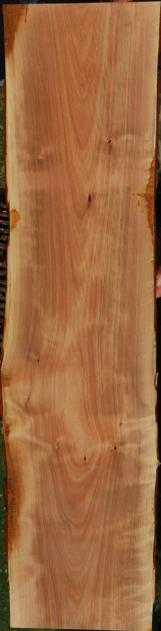 Madrone Live Edge Lumber