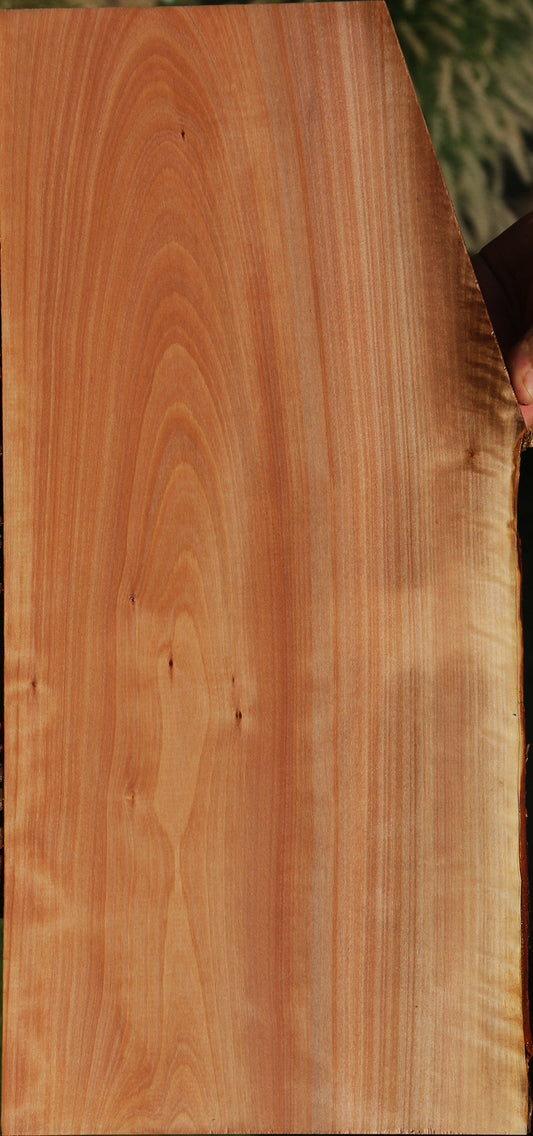 Madrone Live Edge Lumber