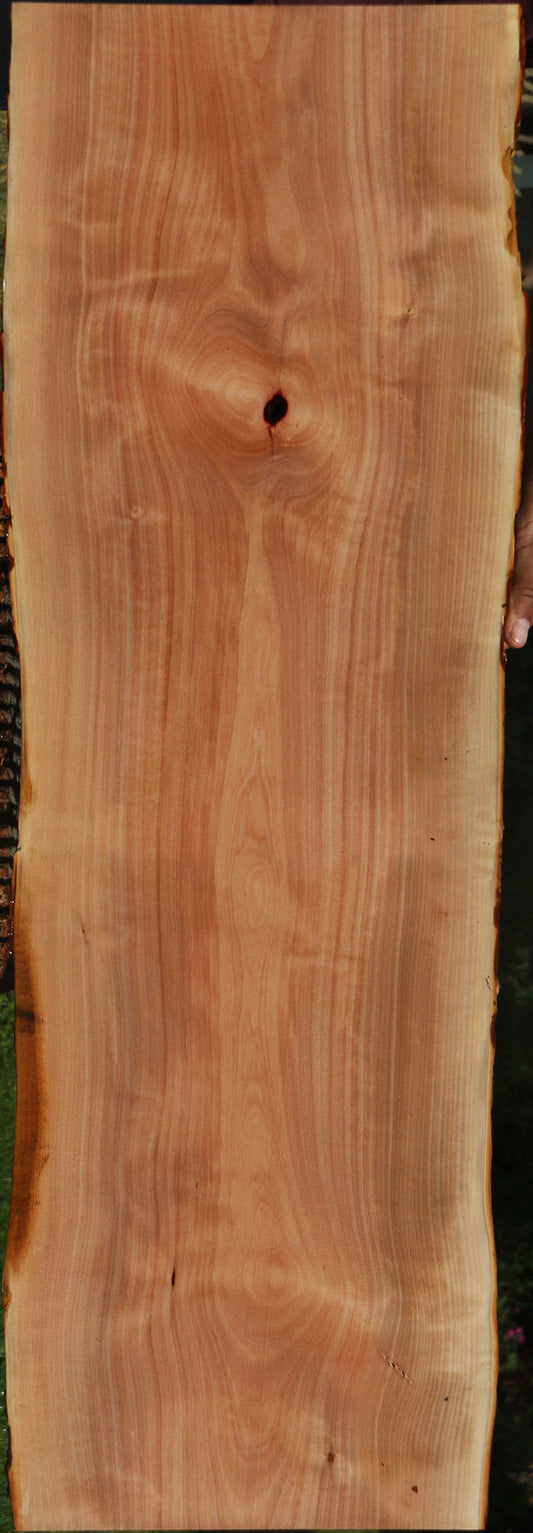 Madrone Live Edge Lumber