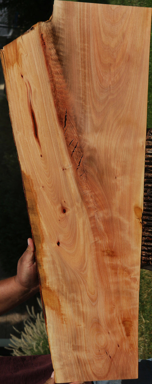 Rustic Crotchwood Madrone Live Edge Lumber