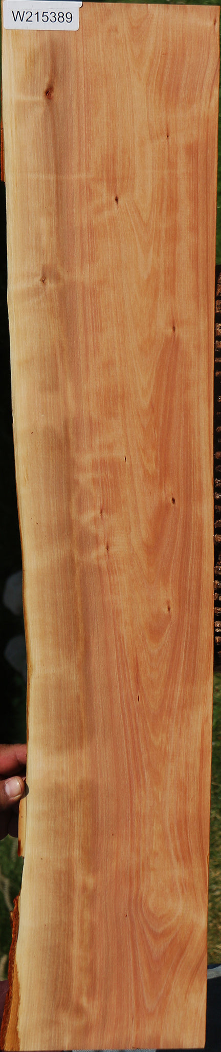 Madrone Live Edge Lumber