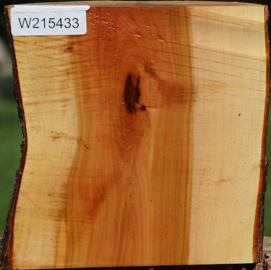 Oregon Ironwood Half Log