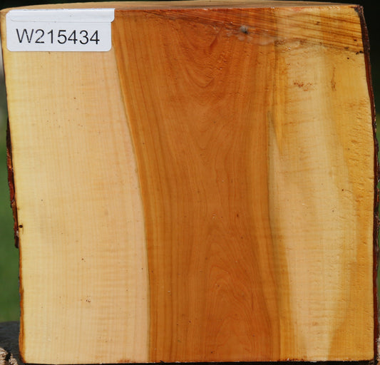 Oregon Ironwood Half Log
