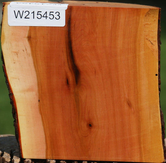 Oregon Ironwood Half Log