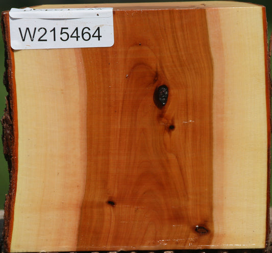 Oregon Ironwood Live Edge Bowl Blank