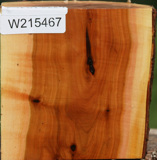 Oregon Ironwood Half Log