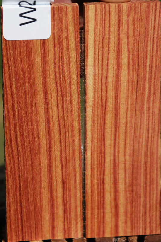 Tulipwood Knife Scales