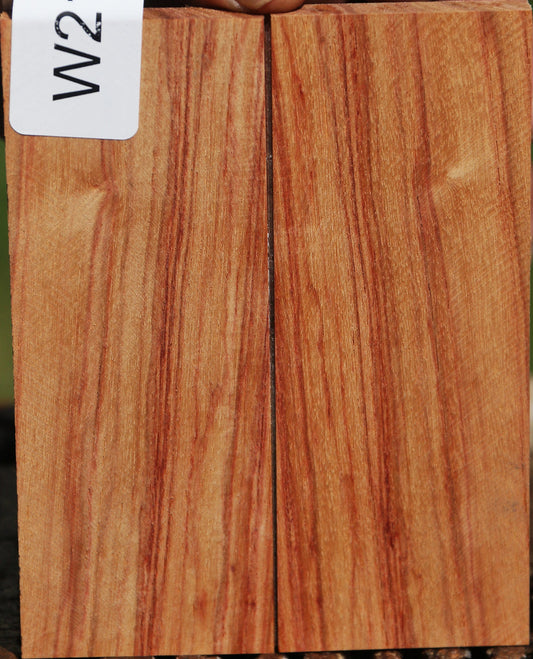 Tulipwood Knife Scales