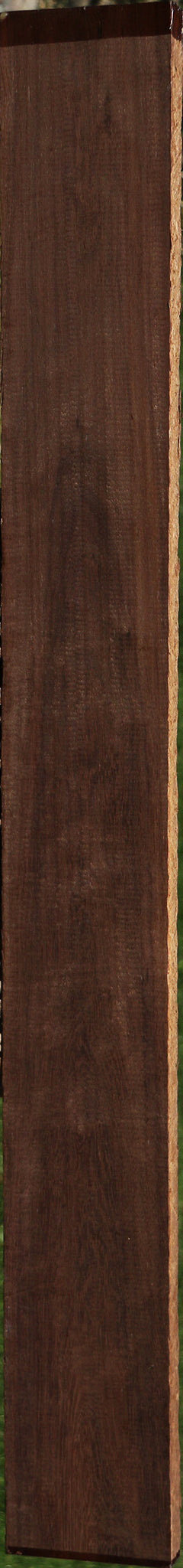 Fiddleback Katalox Lumber