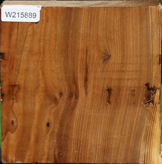 Rustic Elm Bowl Blank