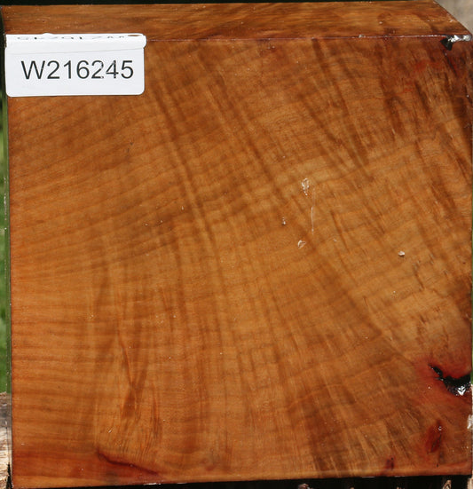 Extra Fancy Madrone Bowl Blank