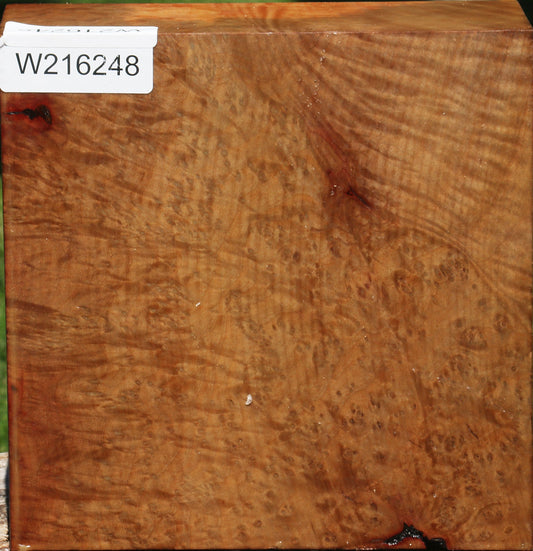 Extra Fancy Rustic Madrone Burl Bowl Blank