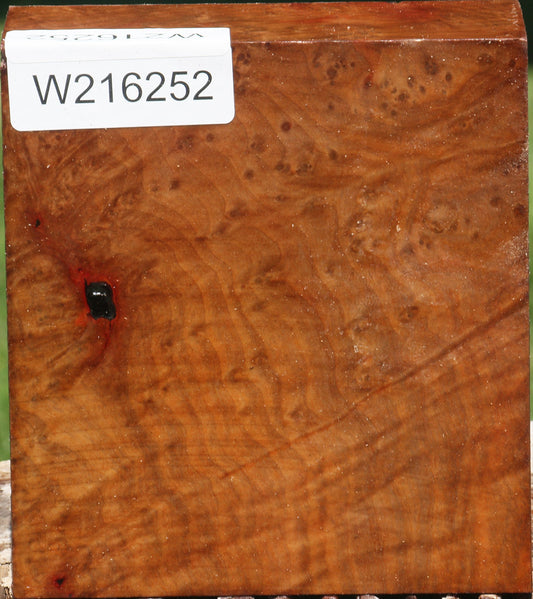 Extra Fancy Madrone Burl Bowl Blank