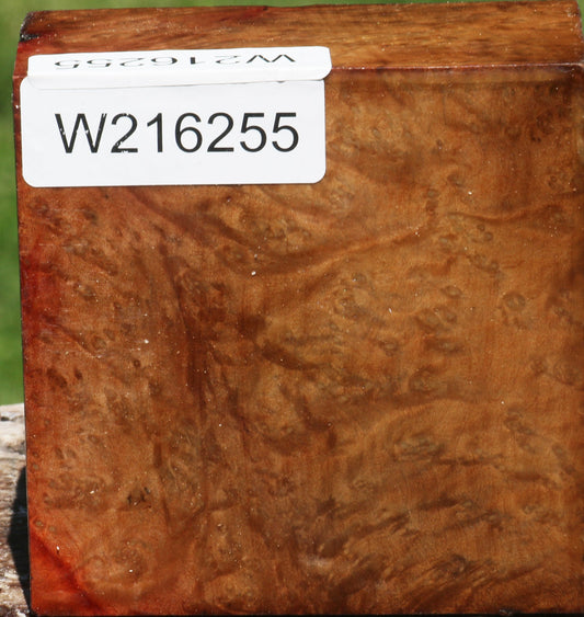 Extra Fancy Madrone Burl Bowl Blank