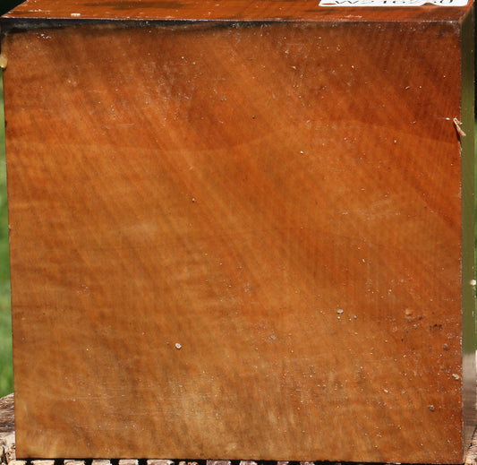 Figured Madrone Bowl Blank