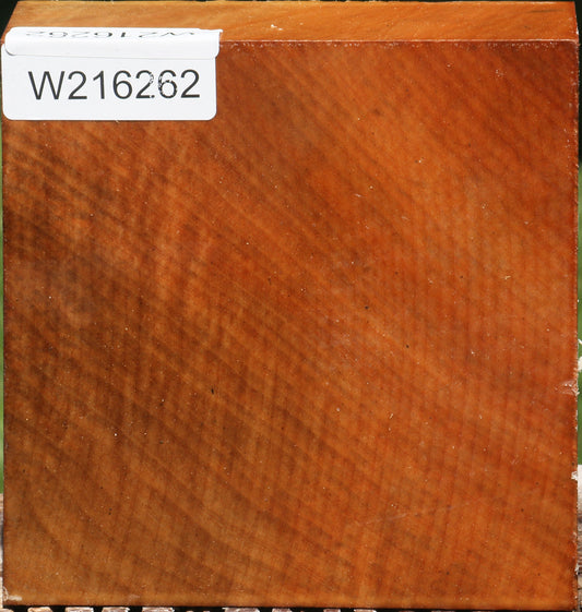 Figured Madrone Bowl Blank