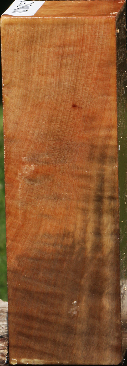 Figured Madrone Peppermill