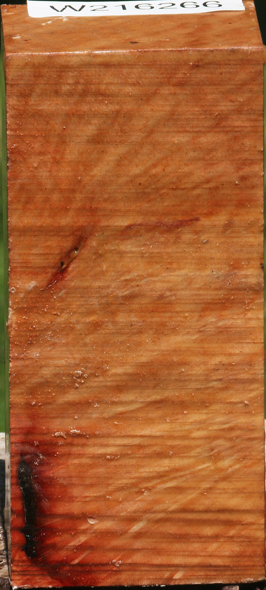 Extra Fancy Madrone Burl Turning Square