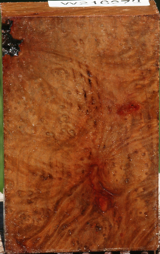 Madrone Burl Turning Blank
