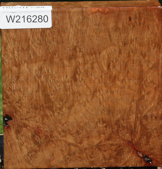 Extra Fancy Madrone Burl Bowl Blank