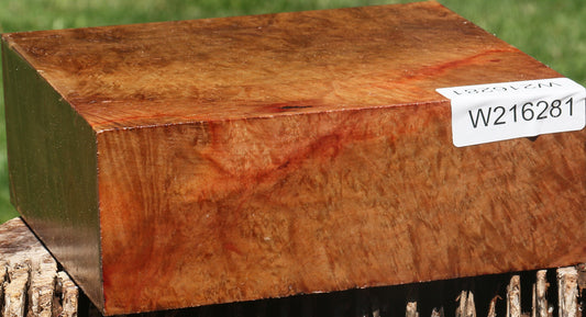 Madrone Burl Bowl Blank