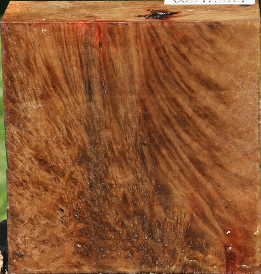 Extra Fancy Rustic Madrone Burl Bowl Blank